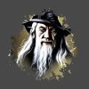 Lord Of The Rings Gandalf Throw Pillow Official Lord Of The Rings Store