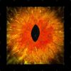 Dragons Eye Phone Case Official Lord Of The Rings Store