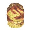 Smaug The Dragon Tolkien Illustration Phone Case Official Lord Of The Rings Store